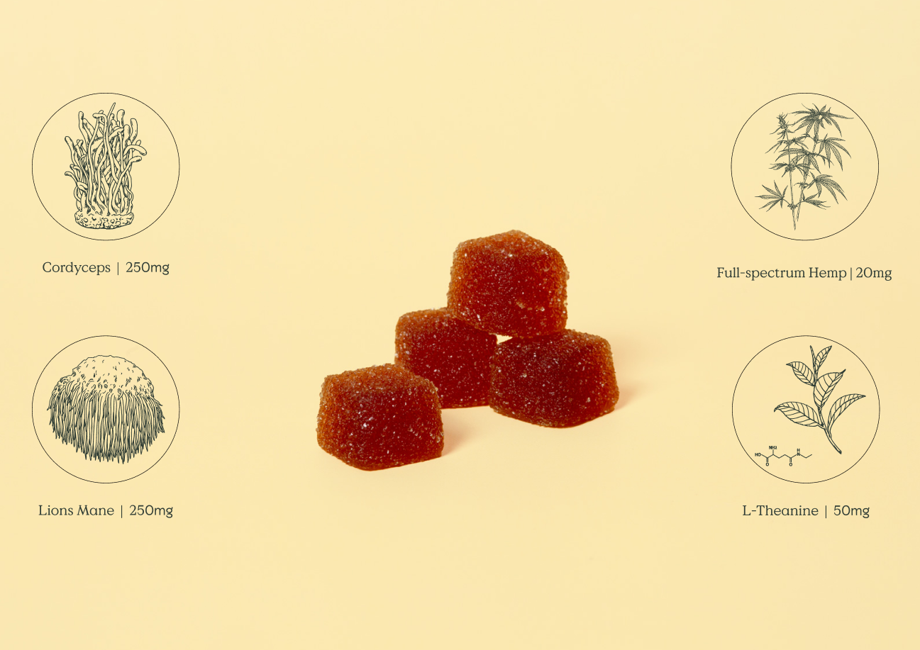 Full Spectrum Focus Gummies for optimal cognitive function and productivity - Full spectrum Hemp lions mane, cordyceps, l-theanine