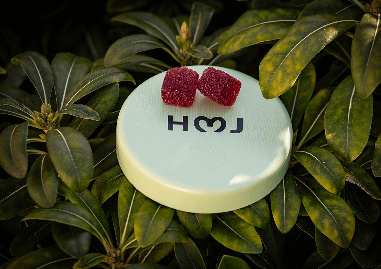 Full Spectrum Hemp Gummies for Microdosing - Enhance Your Wellness Routine Today